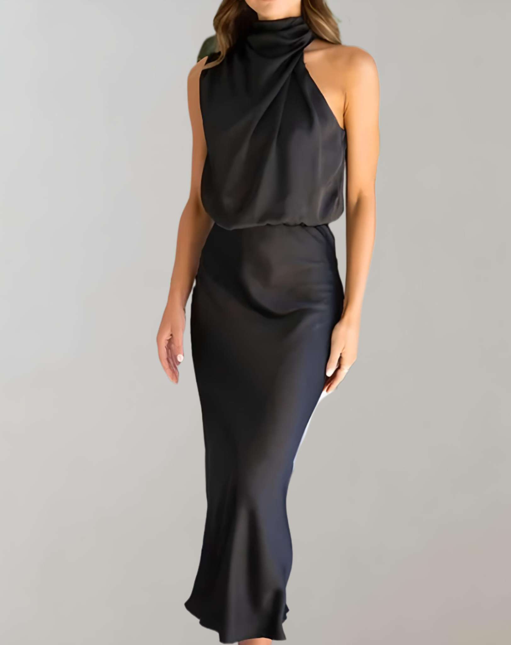 Moreen -  Ärmelloses langes Seidenkleid mit Rollkragen Kleid